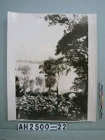 藏品(嘉興南湖照片)的圖片